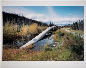 Image description is not available for 2025.242